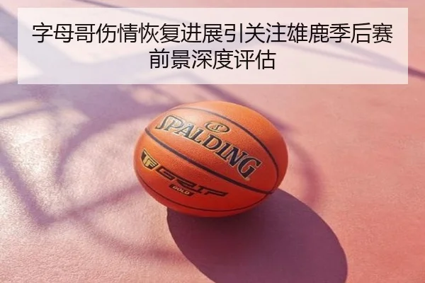 字母哥伤情恢复进展引关注雄鹿季后赛前景深度评估